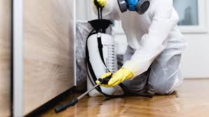 Best Indoor Pest Control  in Albany, LA